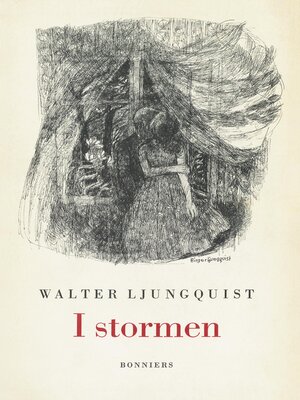 cover image of I stormen